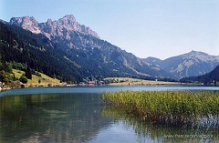 115.jpg  115